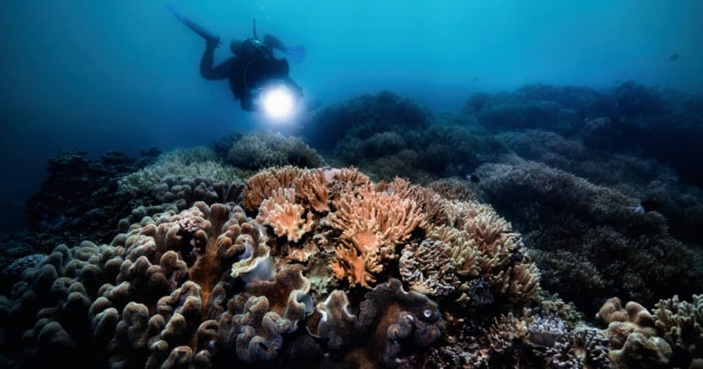 The Inspiration Beneath the Surface